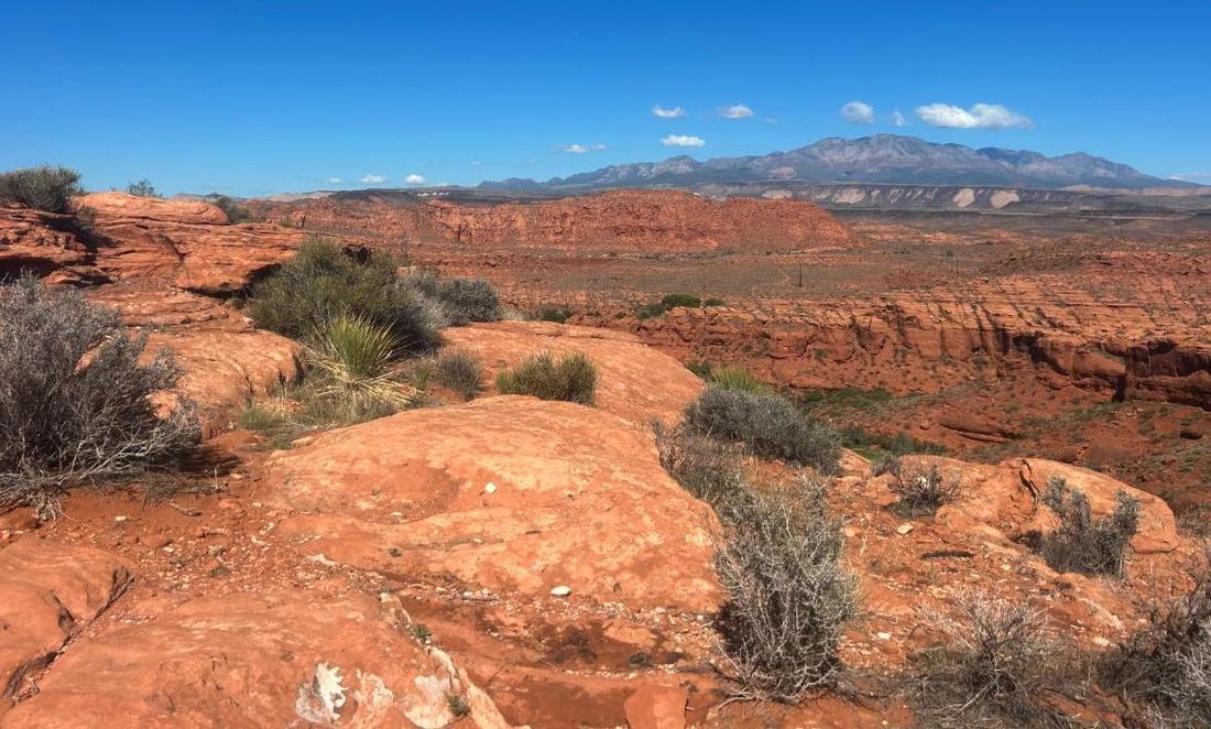Owens Loop trail