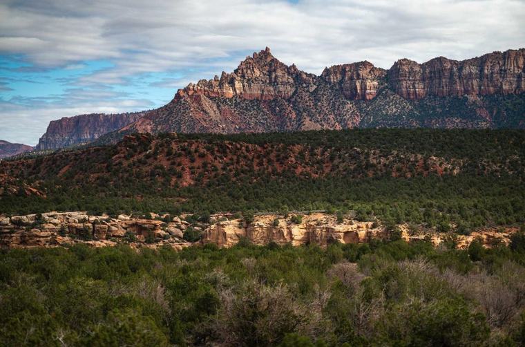 Zion National Park sandstone peaks rising above juniper-covered benches