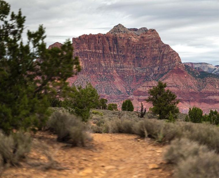 A massive red sandstone face behind juniper trees and the trail