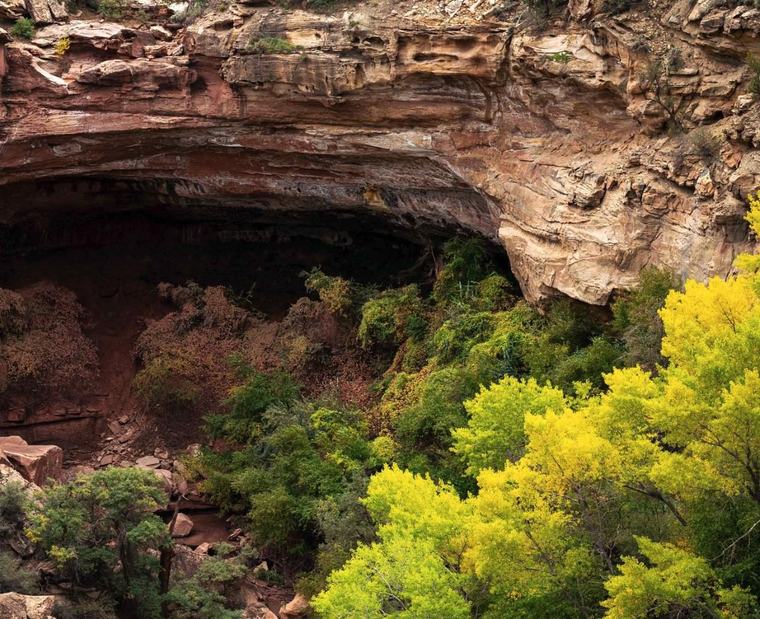 Large sandstone alcove above bright green and yellow trees