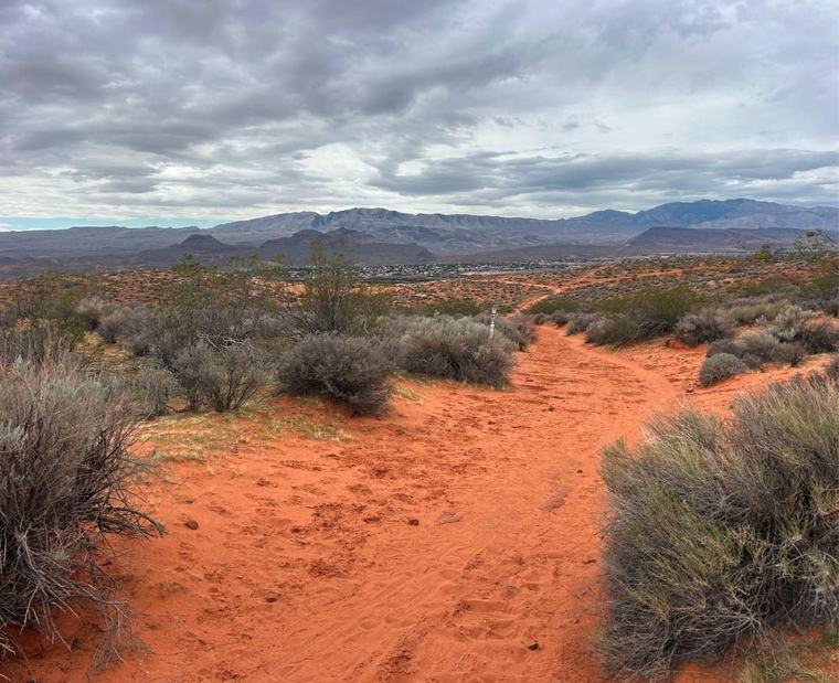 Sandy singletrack through sage with mountains in the distance