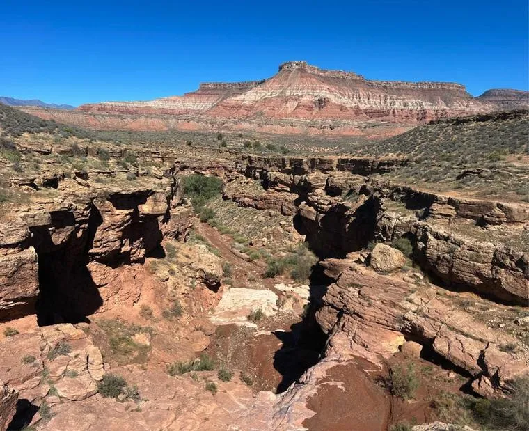 Sheep Bridge Loop trail